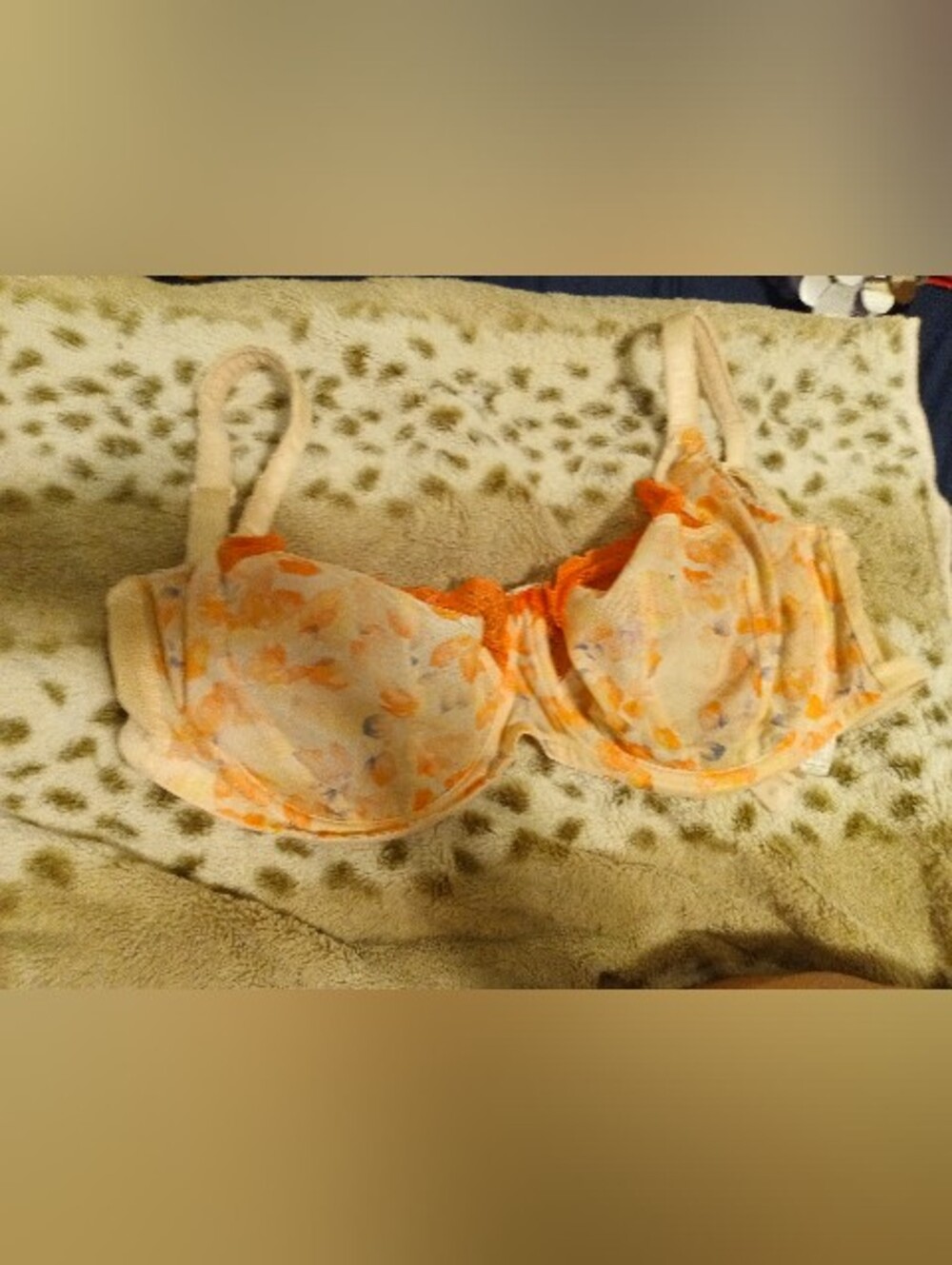 Panache Bra 30HH **Well Loved**